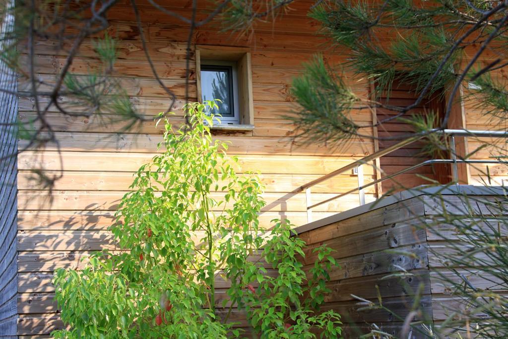 Two-Bedroom Apartment n°1,11053413:JPEG