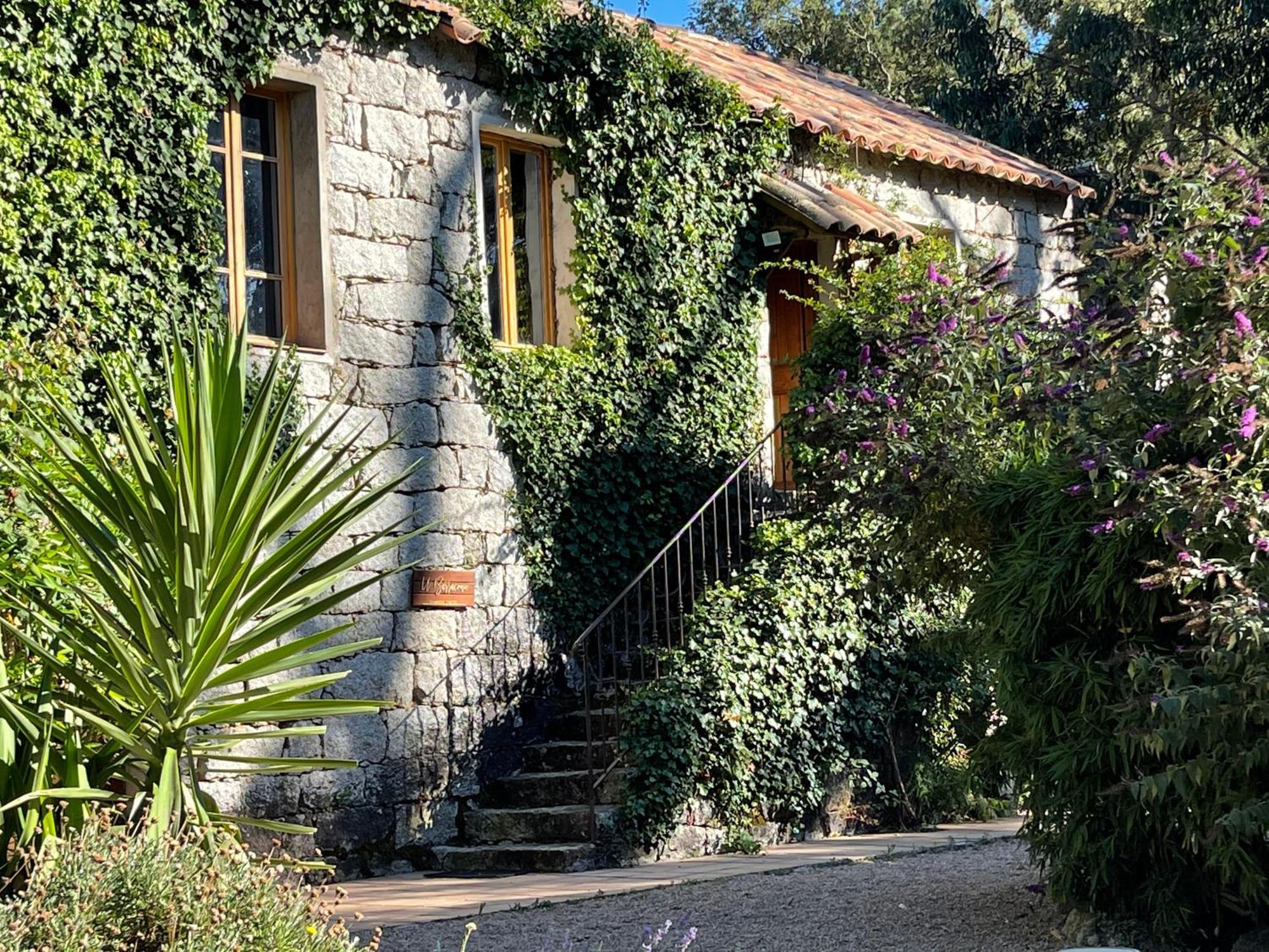 Double Room,1164378078:JPEG